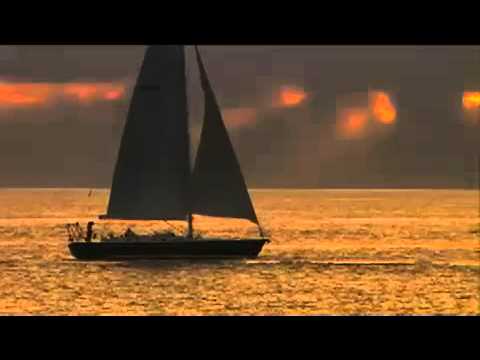 Into the Blue 2: The Reef