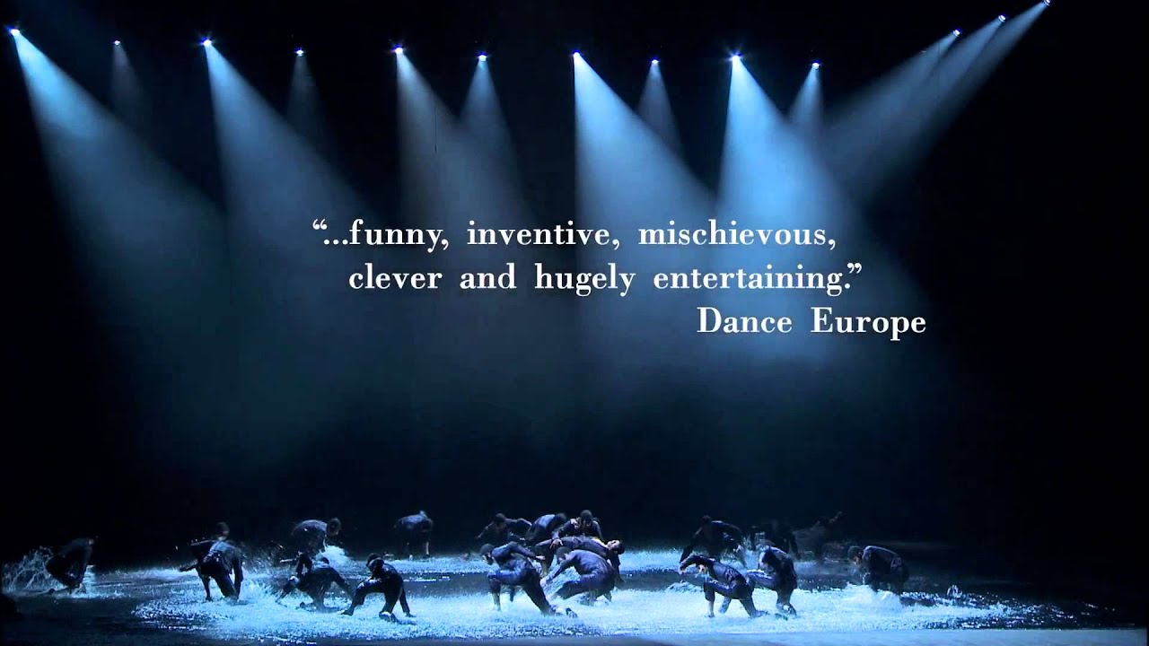 A Swan Lake