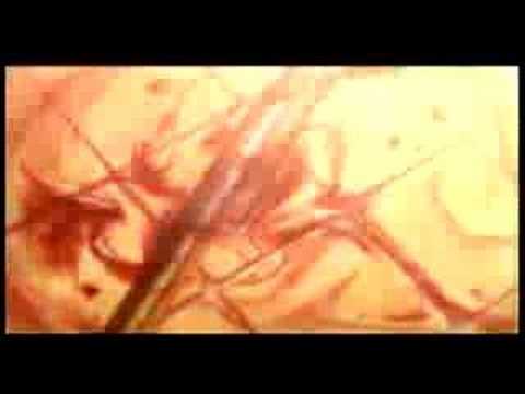 Blood: The Last Vampire