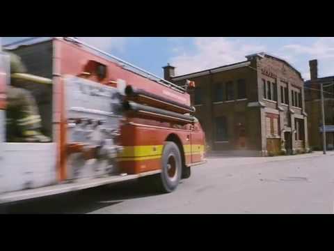 Firehouse Dog