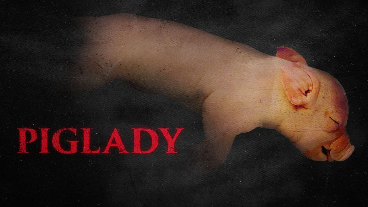 Piglady