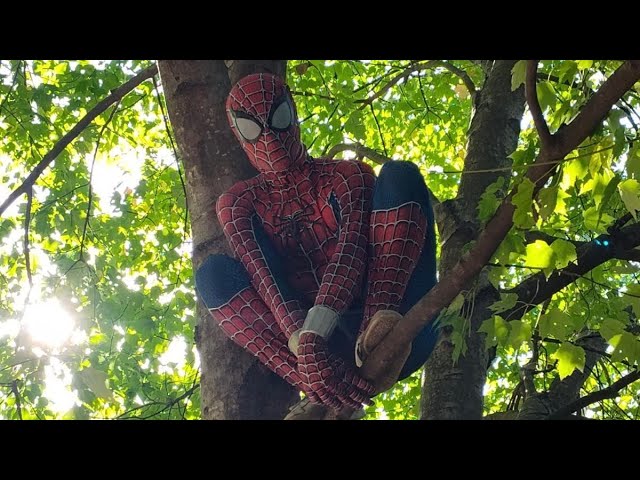 Spider-Man: Love Hurts