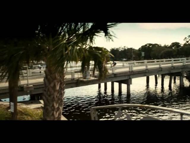 Dolphin Tale