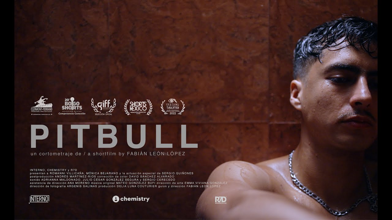 Pitbull