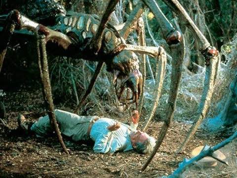 Arachnid