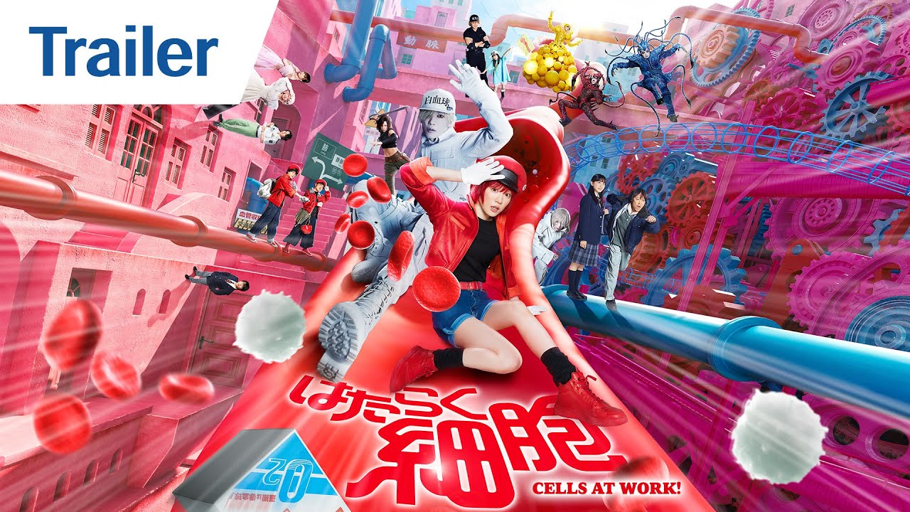 Cells at Work!