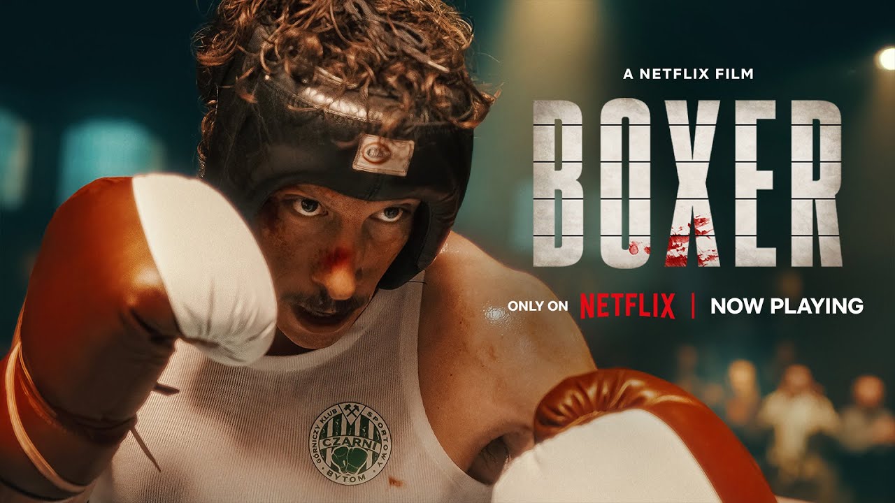 Boxer