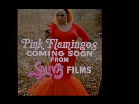 Pink Flamingos