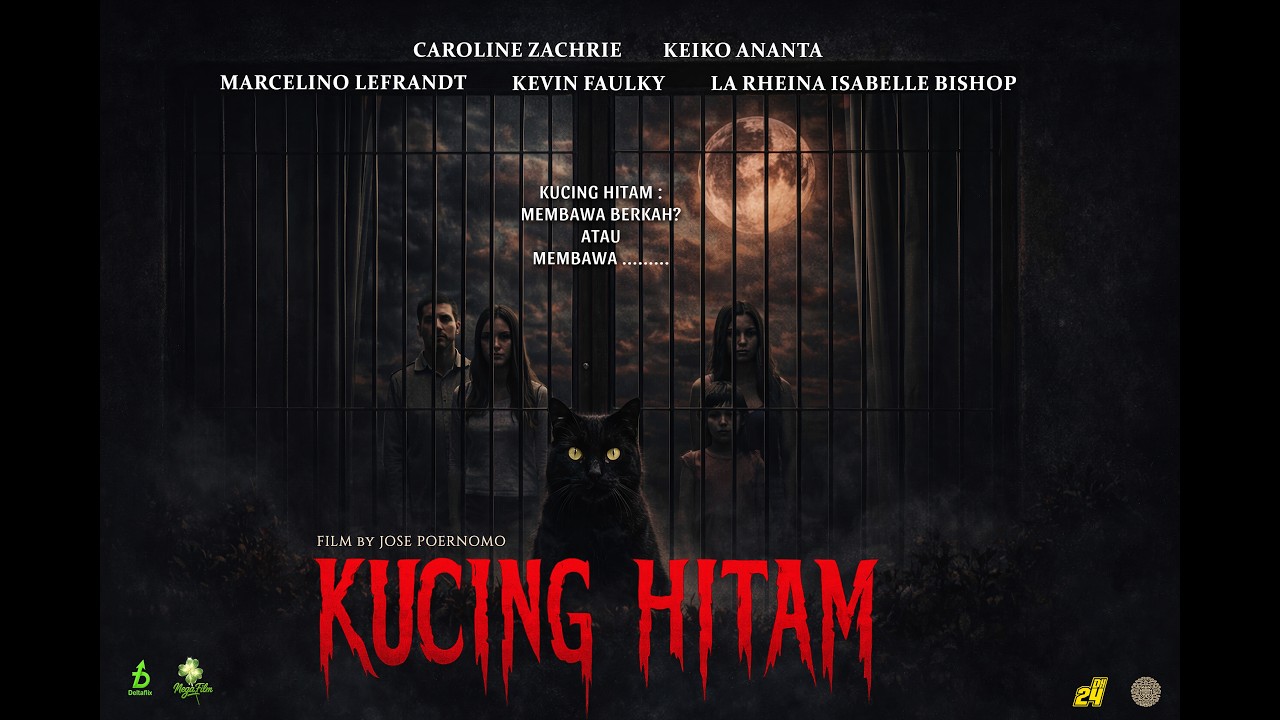 Kucing Hitam