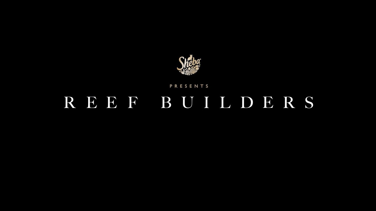 Reef Builders