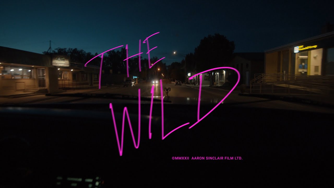 The Wild