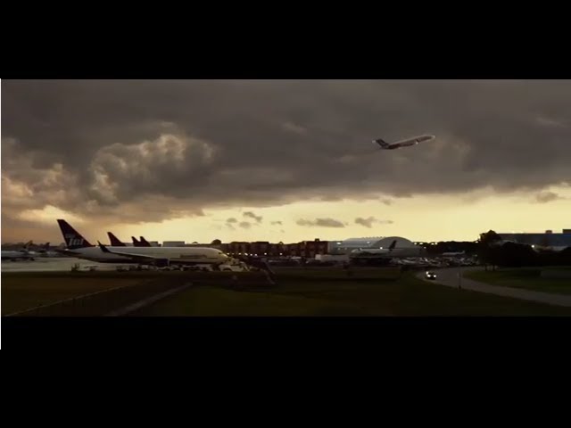 Flight