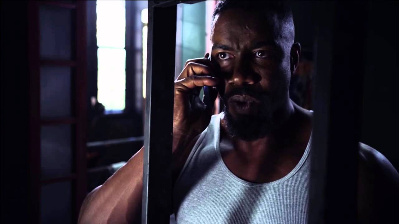 Falcon Rising