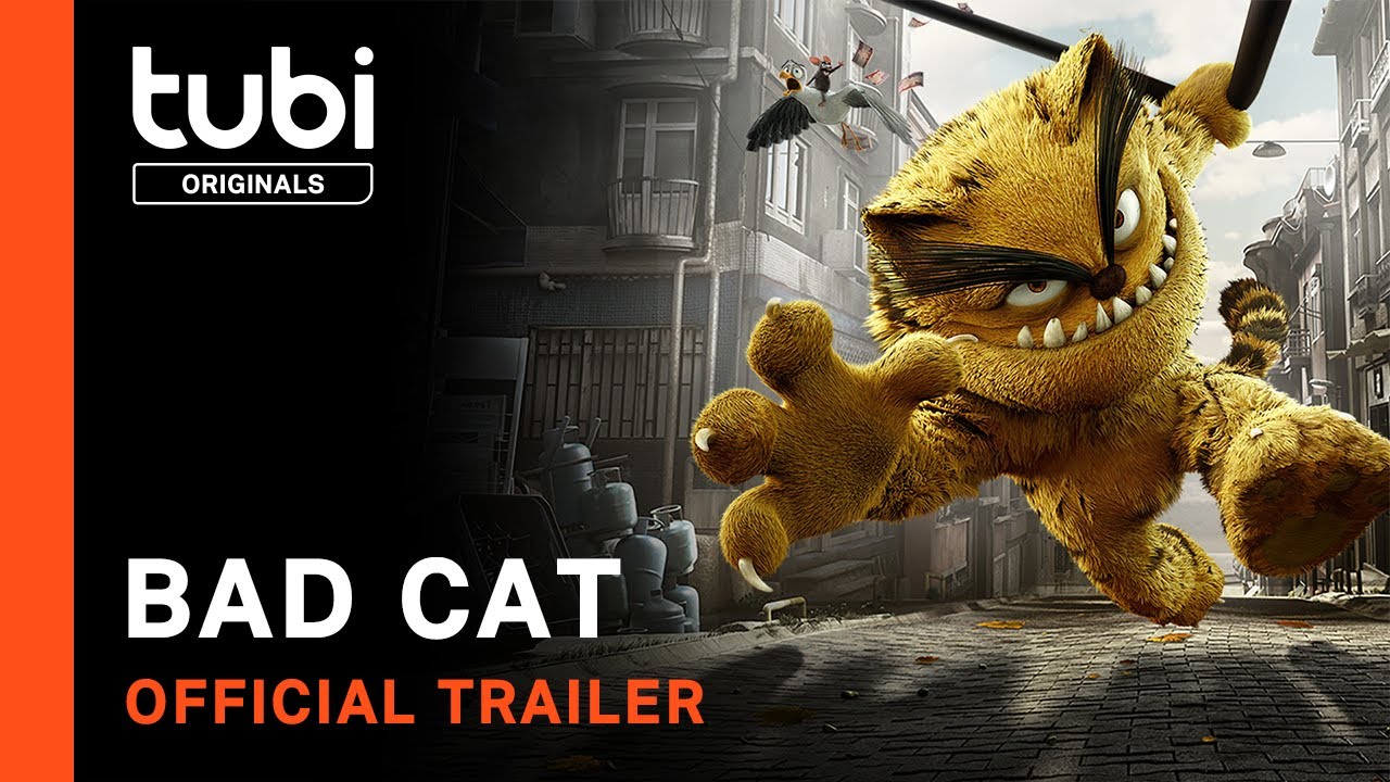 Bad Cat