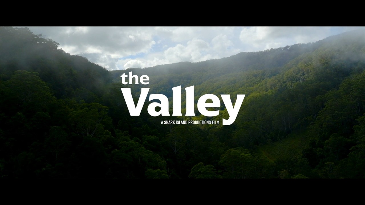 THE VALLEY