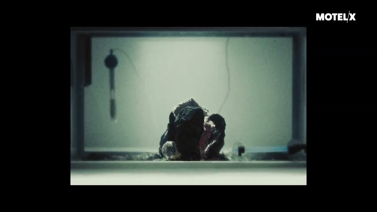 From.Beyond
