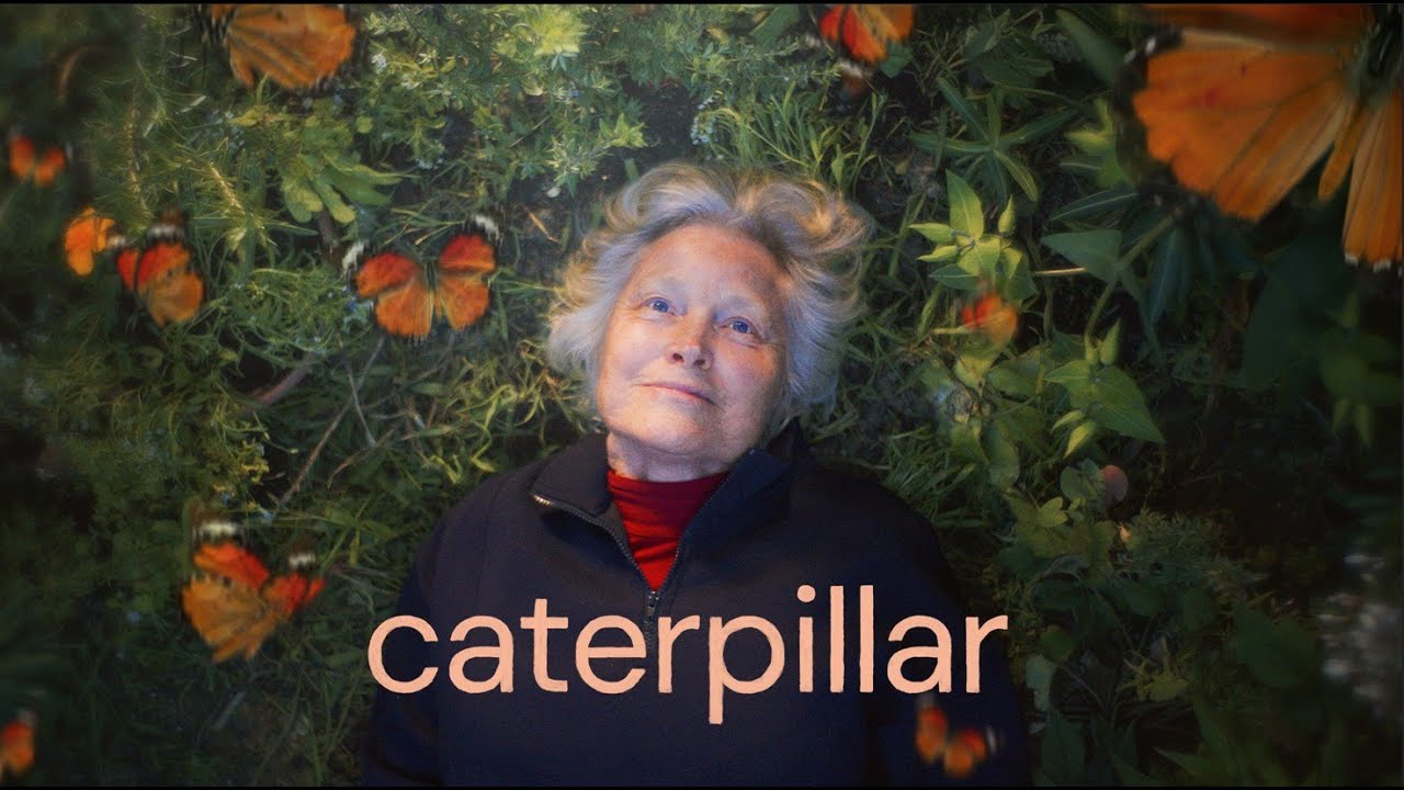 Caterpillar
