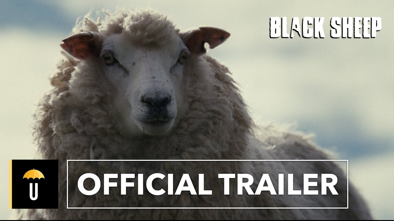 Black Sheep
