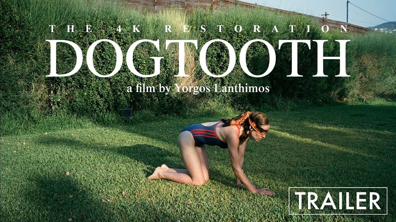 Dogtooth