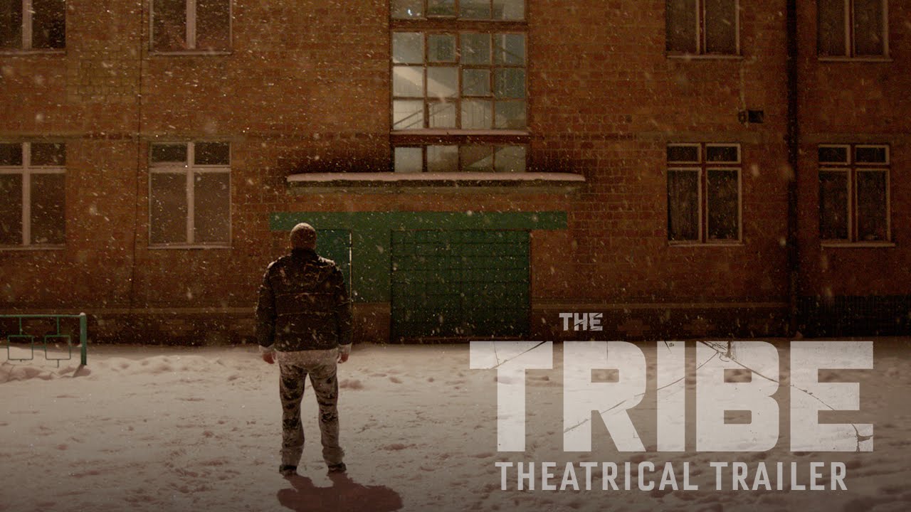 The Tribe