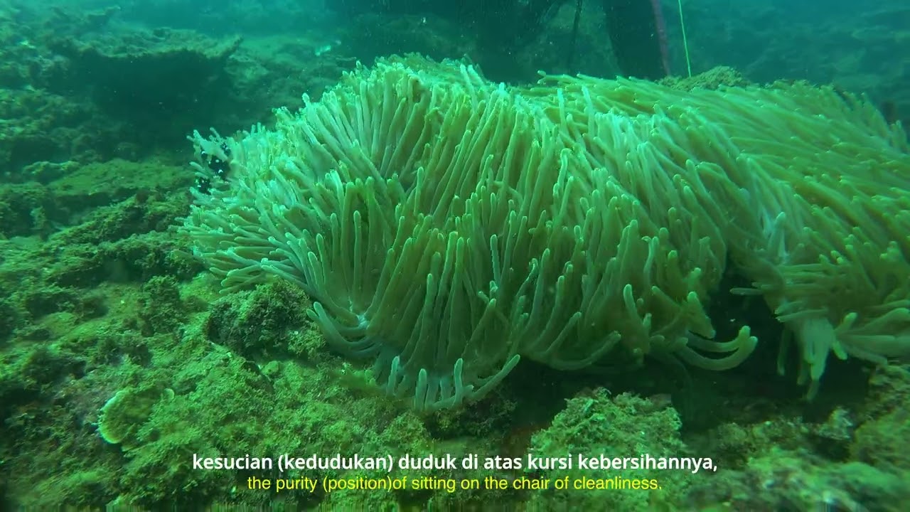 Terang Terkarang