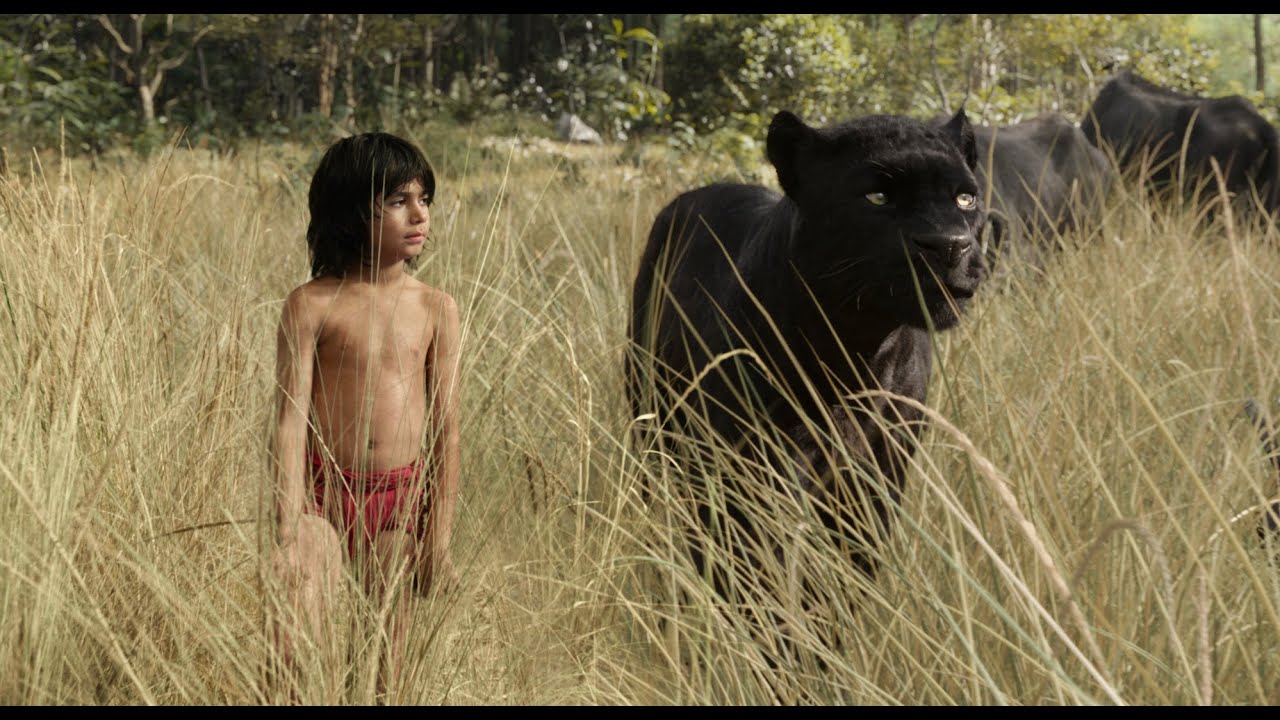 The Jungle Book