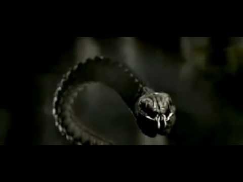 Alone in the Dark