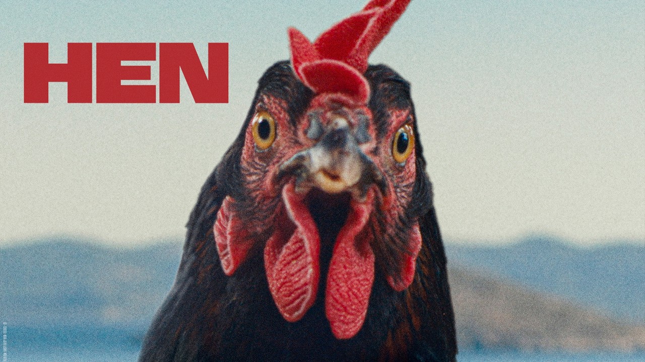 Hen