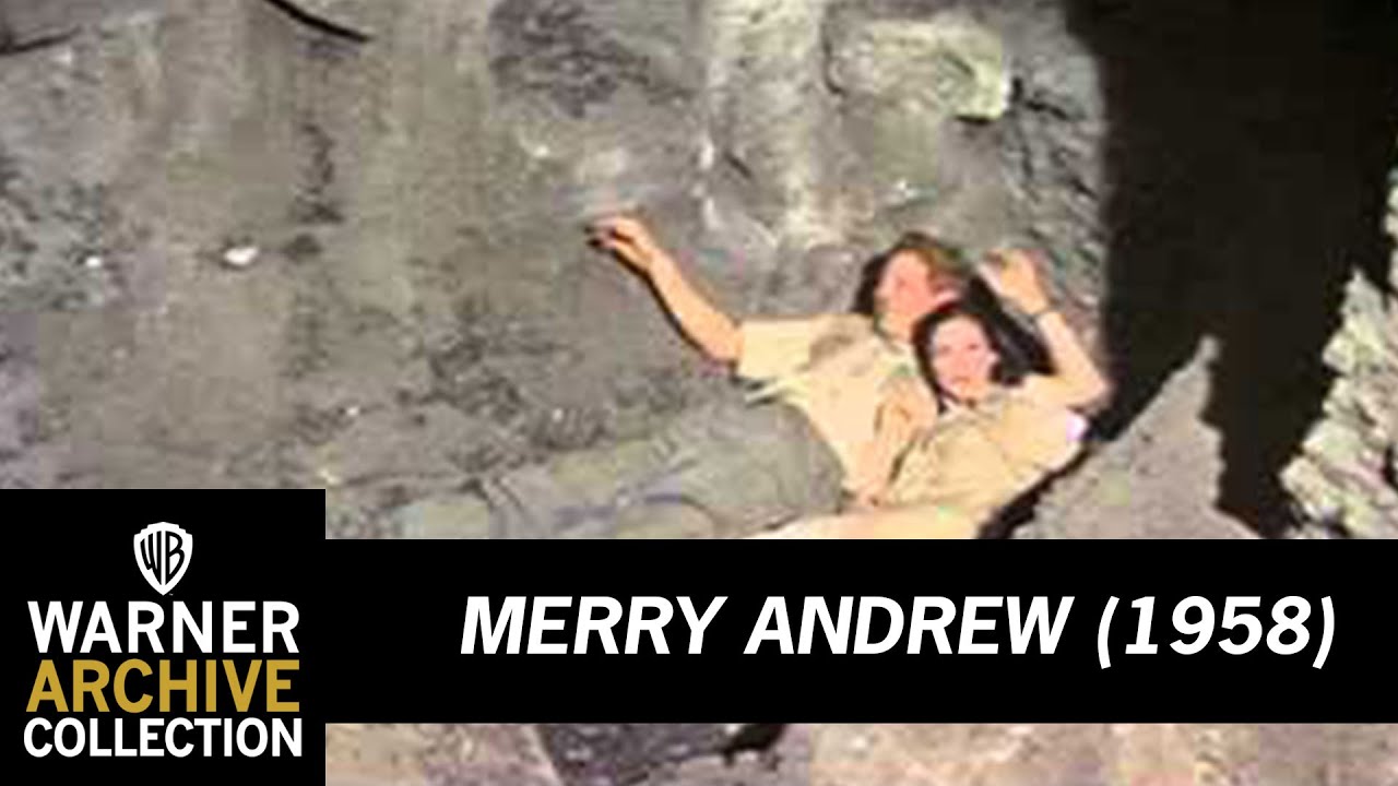 Merry Andrew